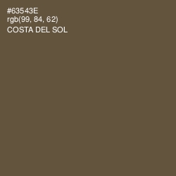 #63543E - Costa Del Sol Color Image